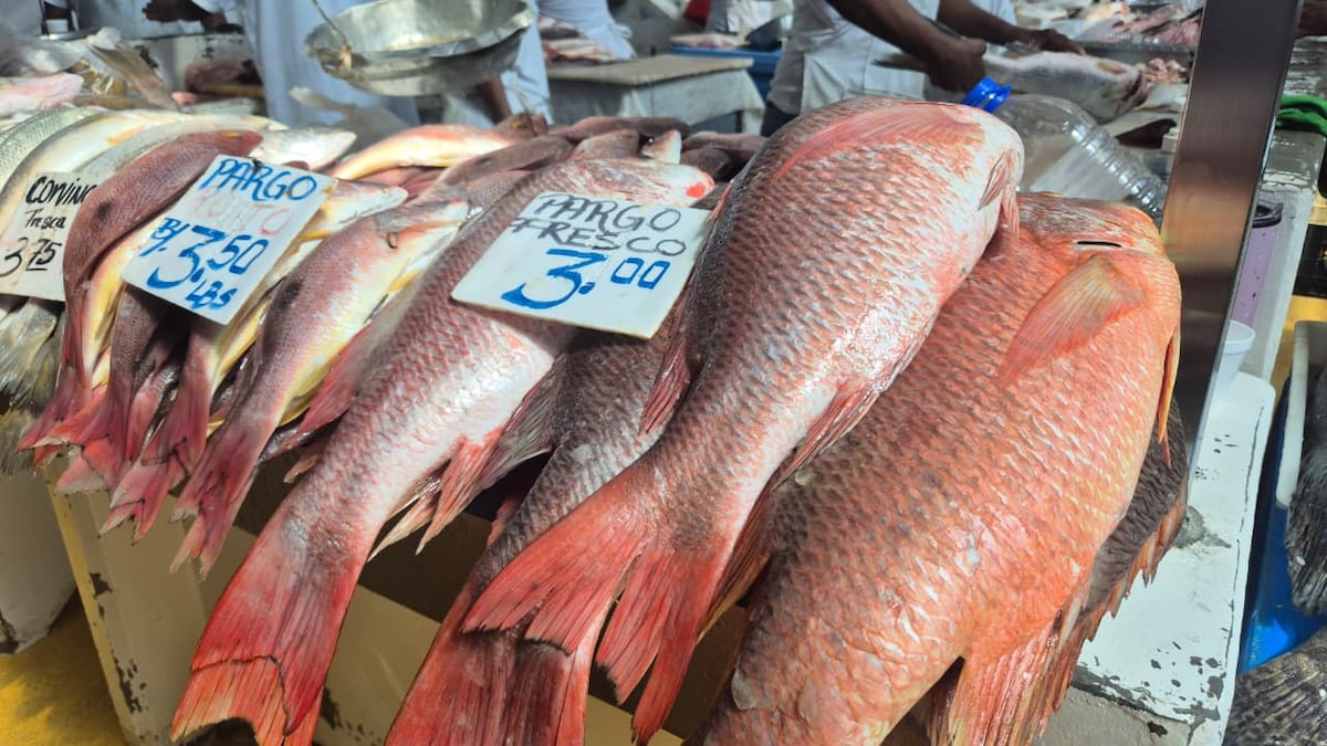 Precios bajos y pocas ventas. Con esperanza en la Semana Santa, el Mercado de Mariscos ajusta precios para la Cuaresma