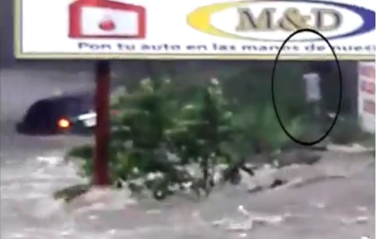 ¡TREMENDO HÉROE! Este fue el hombre que salvó a la mujer arrastrada con su auto