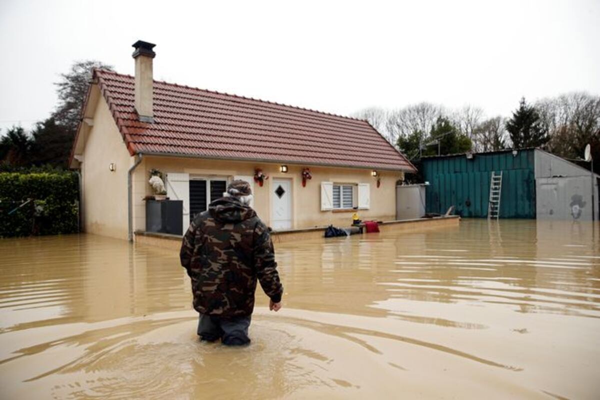 ¡Uyyy! París, la 'Ciudad del amor', está infestada de ratas