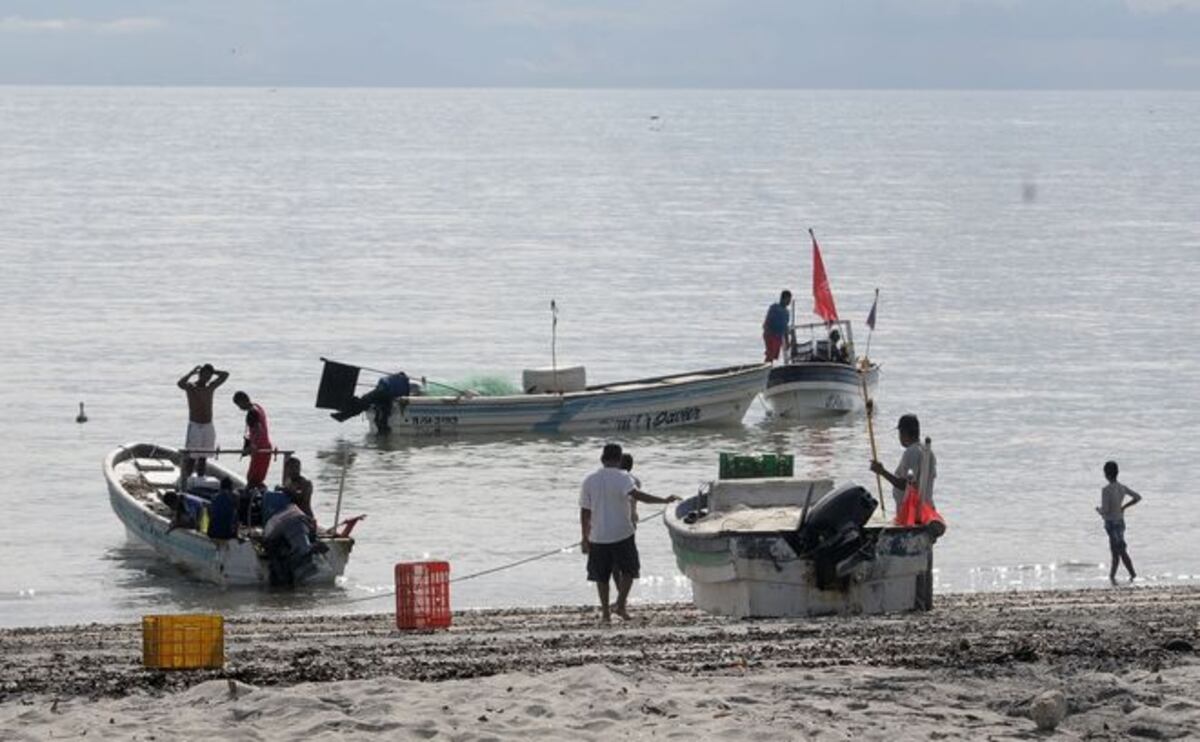 MÁS DETALLES. Del macabro hallazgo de una mujer sin cabeza en San Carlos 