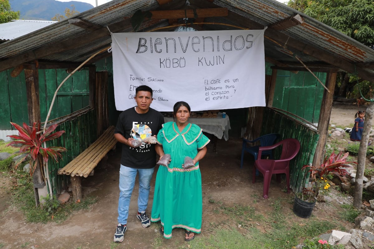 De cafetales a la universidad: la historia de Ilda que está cambiando el destino de sus hijos en la comarca