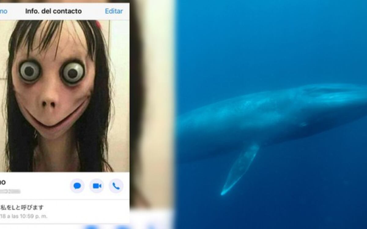 ‘Momo’ causa alarma por parecerse al reto de la 'Ballena Azul'