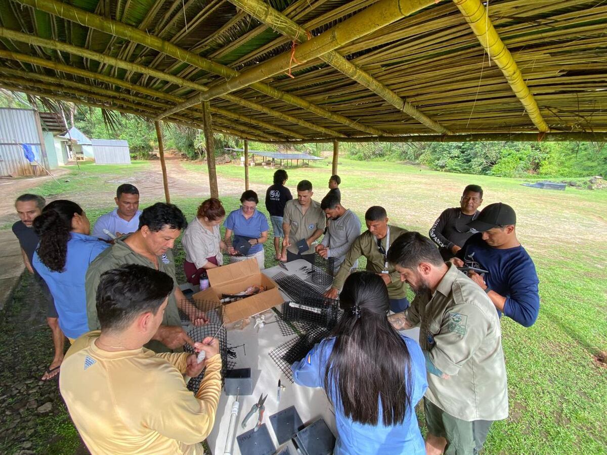 Coiba lidera encuentro clave contra especies invasoras en el Pacífico