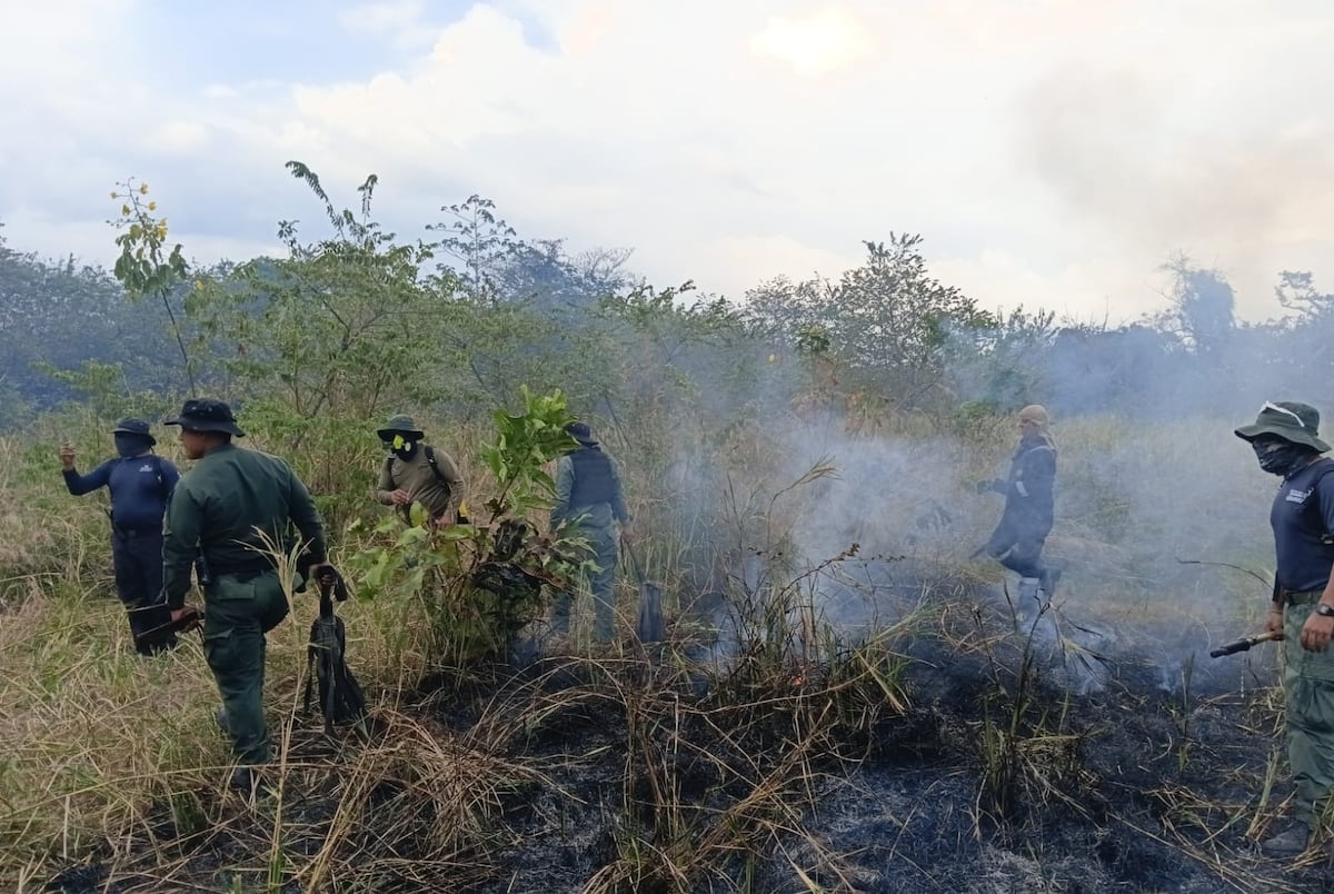 Fuego encendió alarmas en Punta Chame… pero fue controlado a tiempo