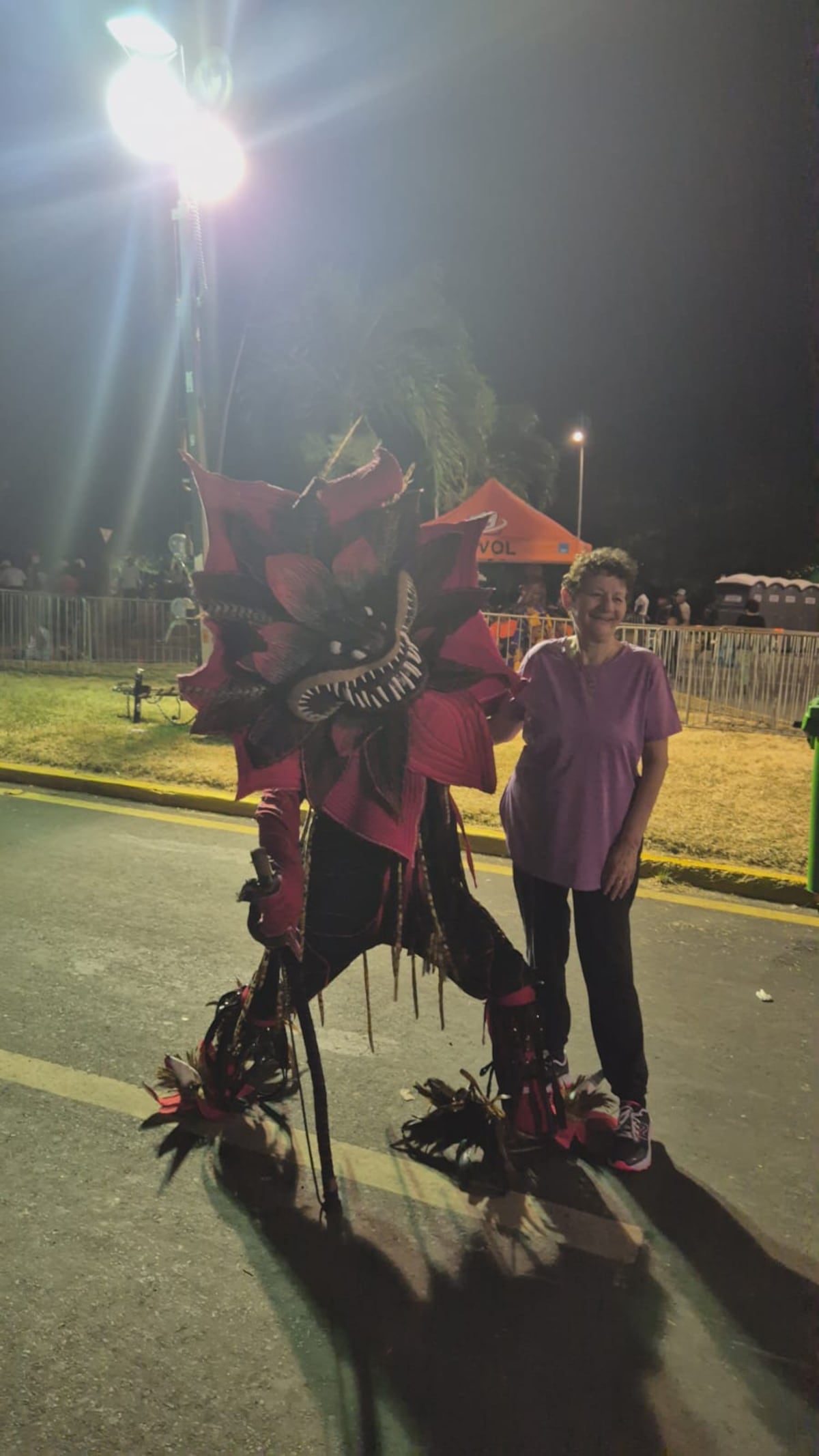 Entre organización y nostalgia: la esencia del Carnaval en discusión