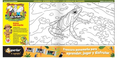 Mi Diario trae la lámina de la rana arlequín en ‘Fauna del Istmo’: colorea y conoce esta joya de Panamá