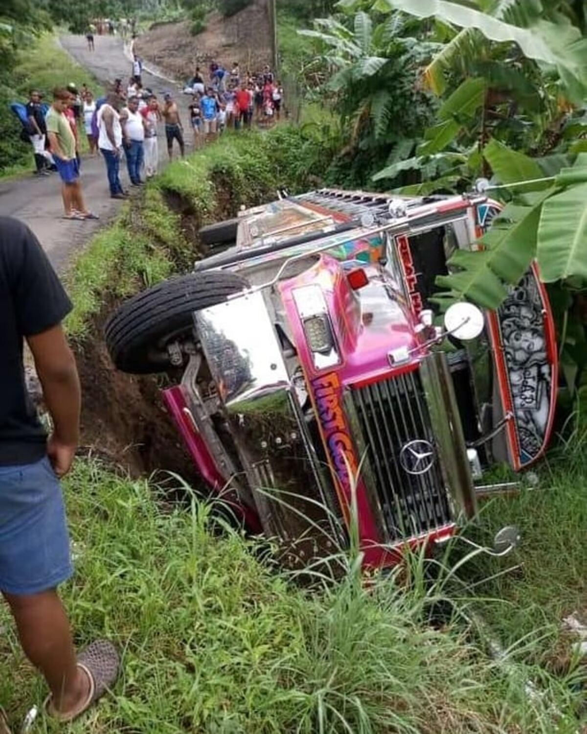 Bus ‘diablo rojo’ cae a un barranco