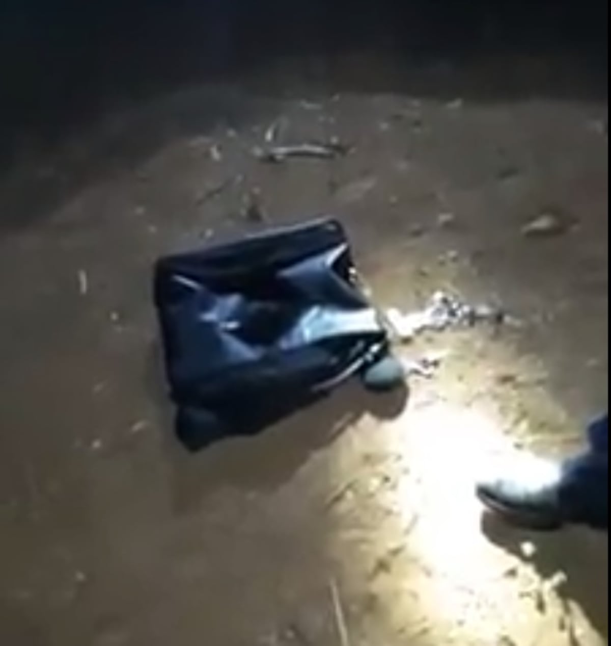 Se meten en la casa de Diógenes Sánchez. Lo durmieron junto a su esposa 