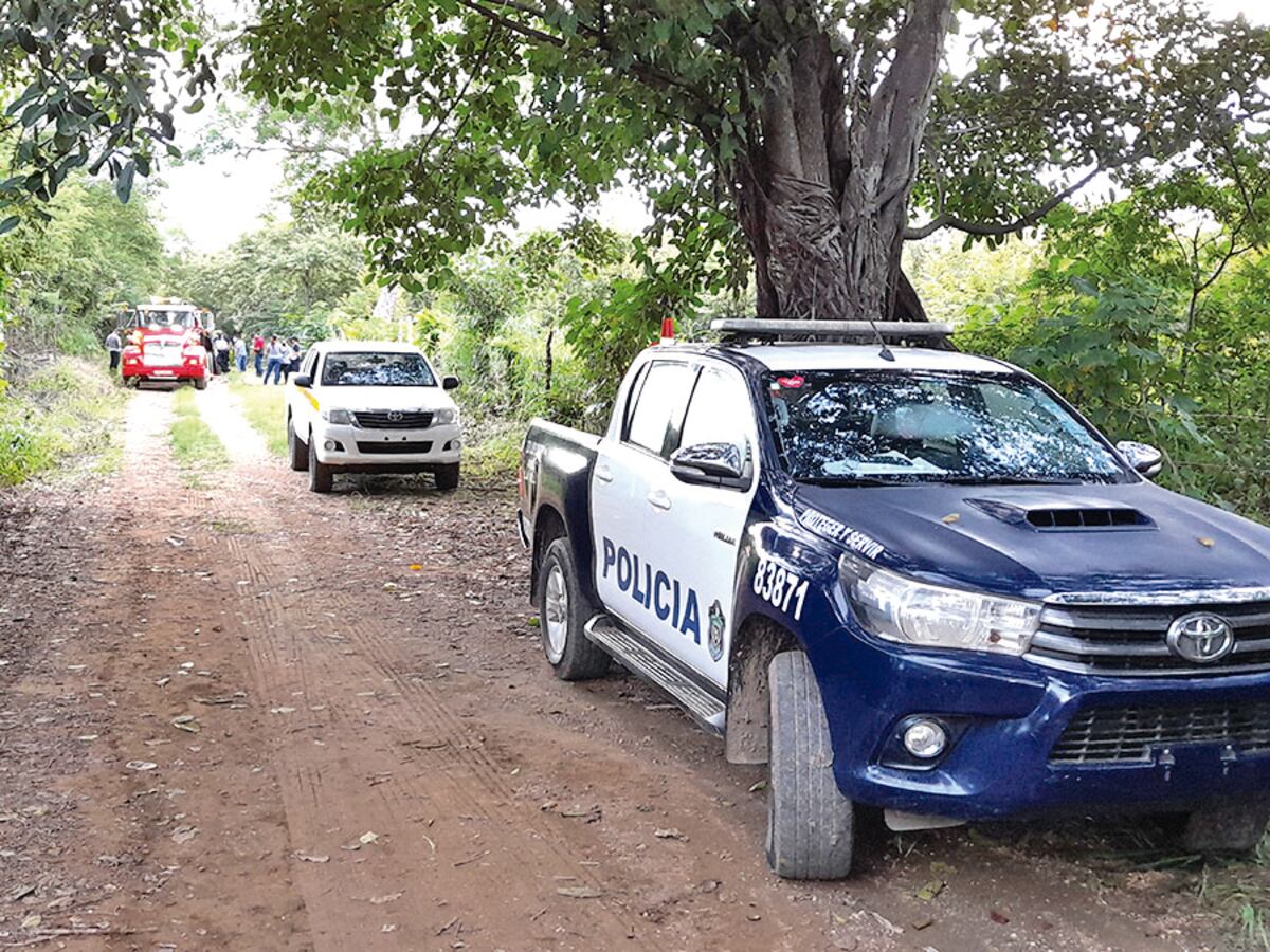 Un perro fue clave en la investigación de un homicidio en Los Santos