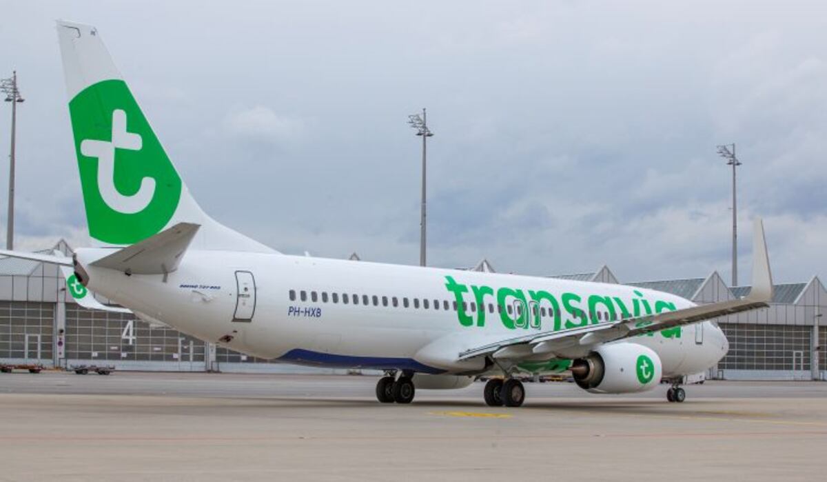 Un pasajero hediondo provocó desmayos, vómitos y un aterrizaje de emergencia