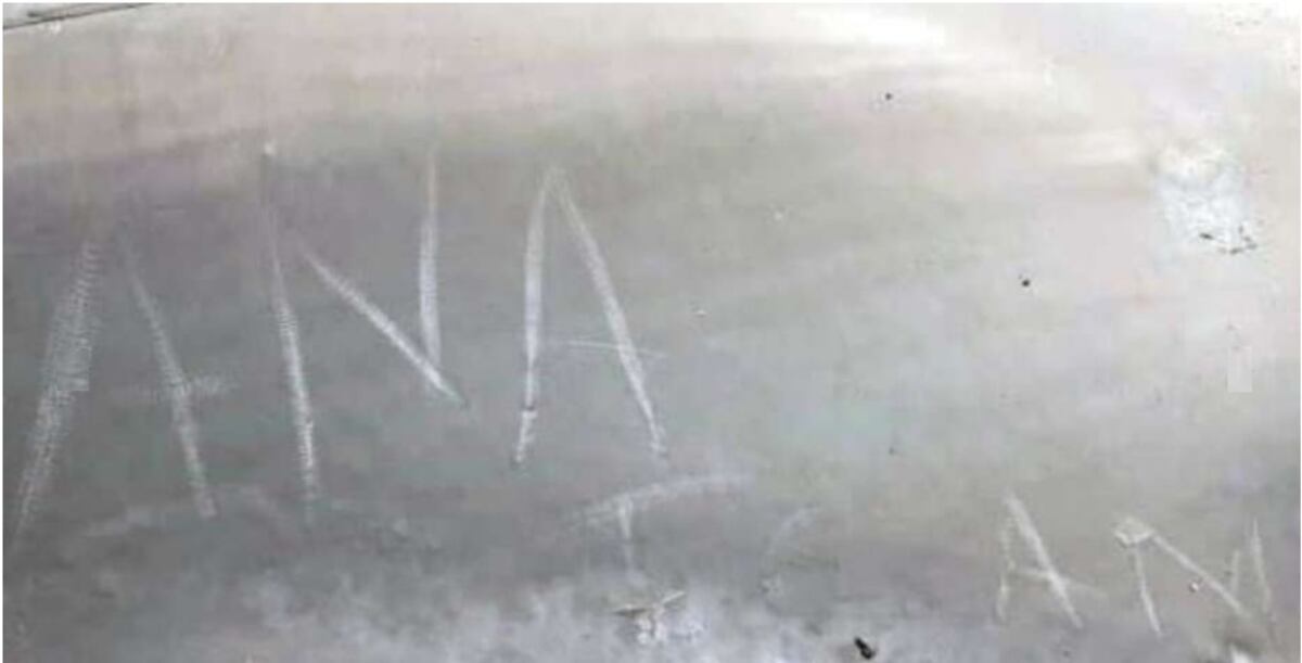 ¡INDIGNANTE! En Chile se sientan y con un cuchillo escriben sobre ballena varada