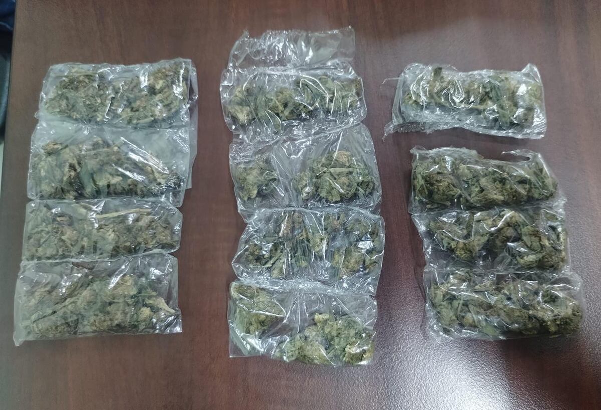 Aprehenden a 65 personas en Panamá Oeste en el marco del Plan Firmeza