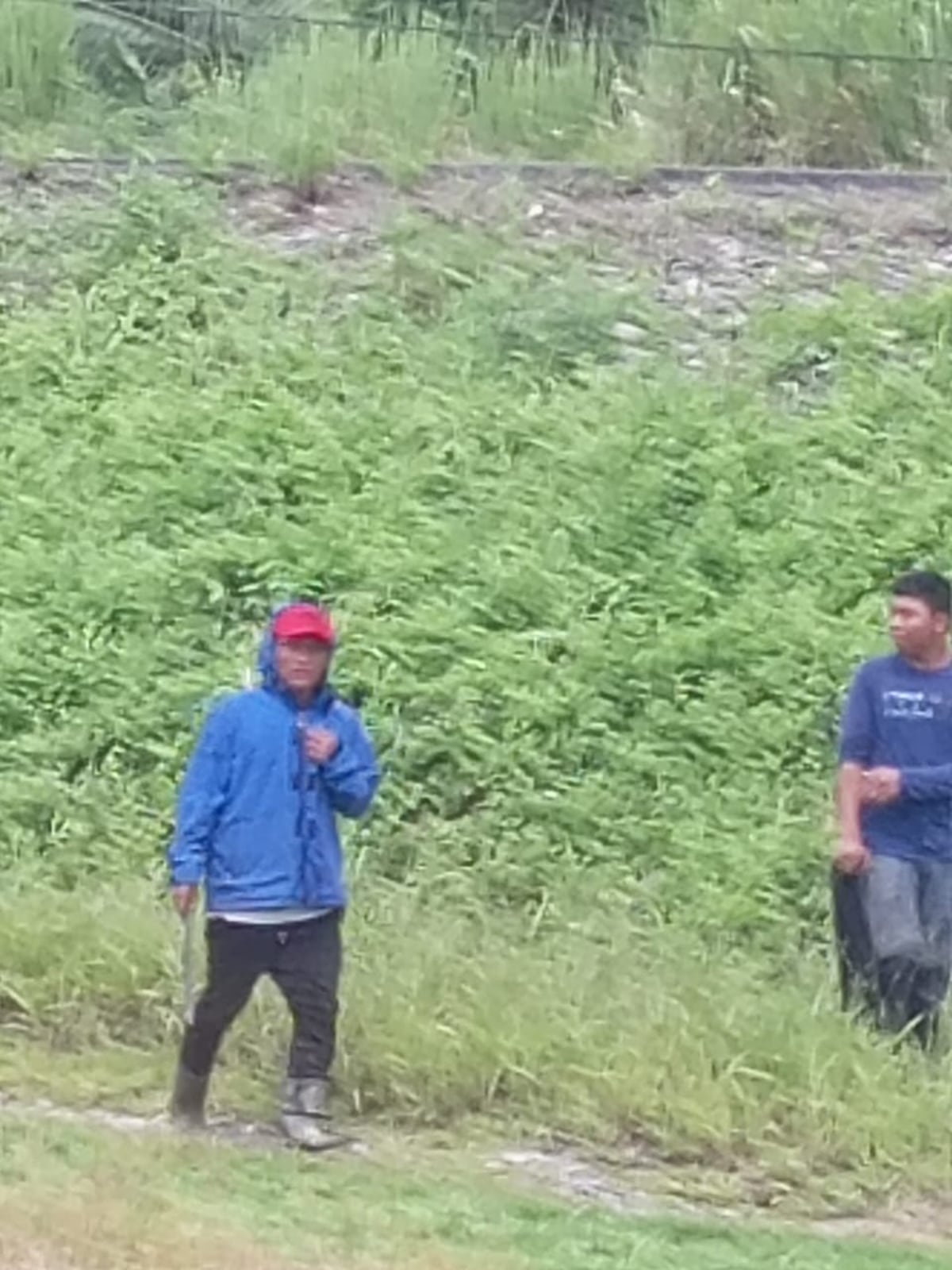 URGENTE: Atacan a machetazos y piedras a directora del INADEH en Changuinola