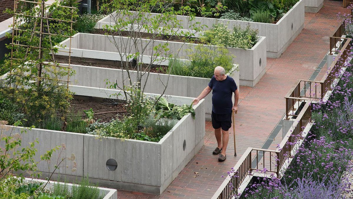 Hombre de 54 años es hallado sin vida en su residencia en San Judas