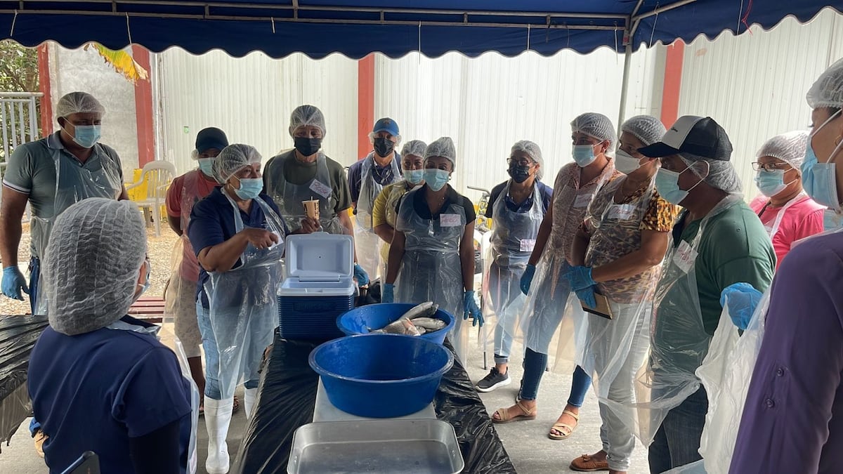 Enhorabuena. Pescadores artesanales de la provincia de Herrera son capacitados 