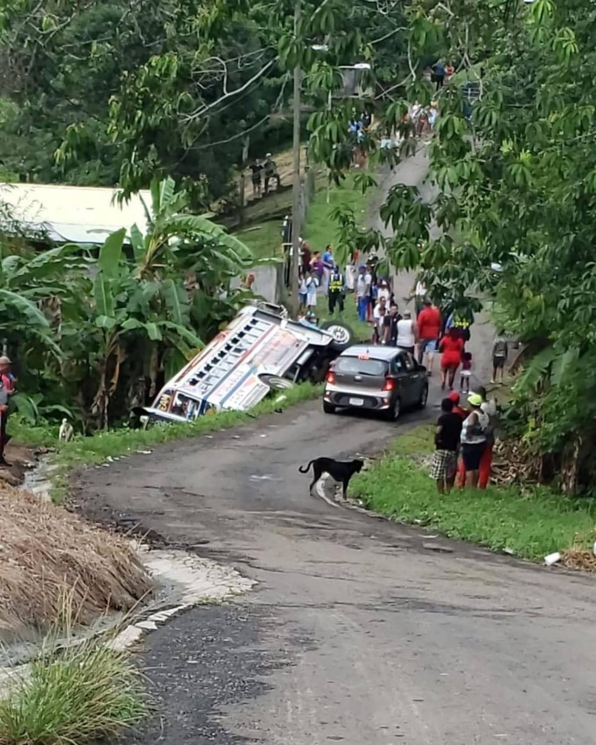Bus ‘diablo rojo’ cae a un barranco