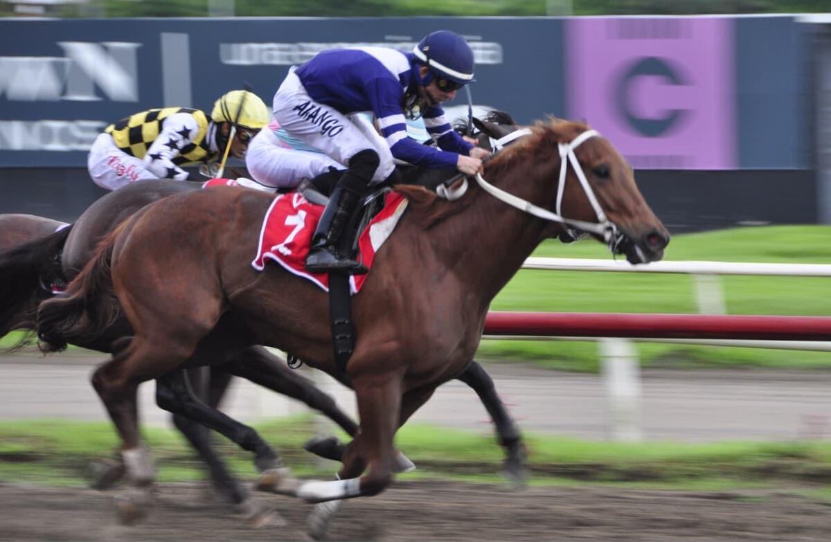 Final de infarto: ‘Danyer’ le roba la foto a ‘Sol Papá Carlos’