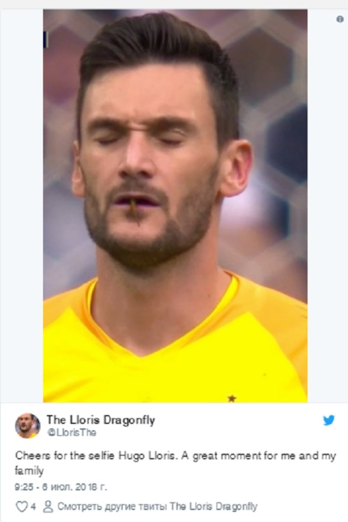 El portero de Francia besó a una libélula en el encuentro contra Uruguay