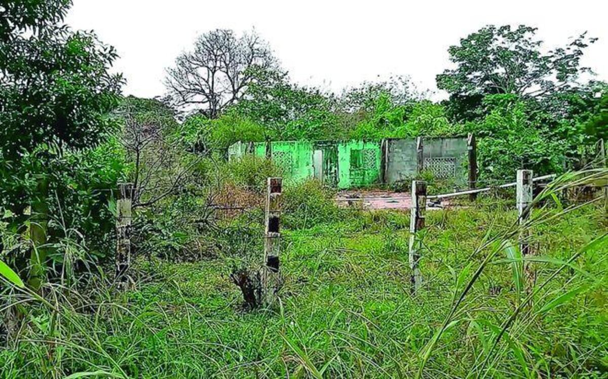 Las tenían chequeadas al salir del banco. Matan a la hija frente a su madre