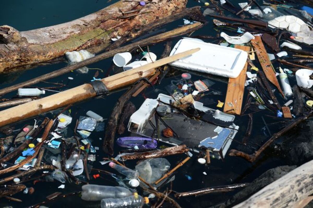 ¡COCHINADA!  Se acaba el año y miren cómo está Amador |VIDEO + FOTOS