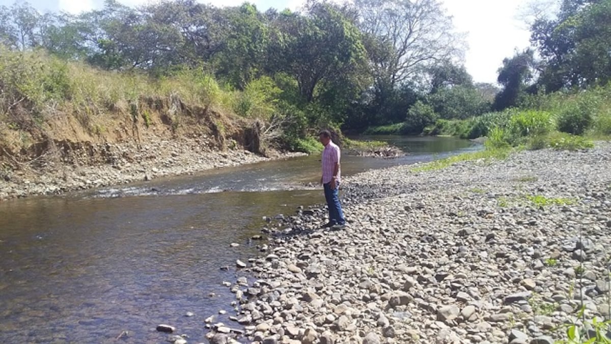 Jorge Jaén responde a El Preguntón de Mi Diario sobre el actuar de Ministerio de Ambiente para conservar los Humedales ¿Playa y Plásticos?