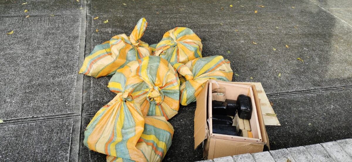 Decomisan siete sacos con droga en la Calzada de Amador