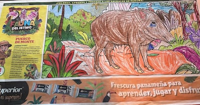 Pequeños artistas llenaron de color la naturaleza de Panamá: conoce a los ganadores del Concurso Fauna del Istmo