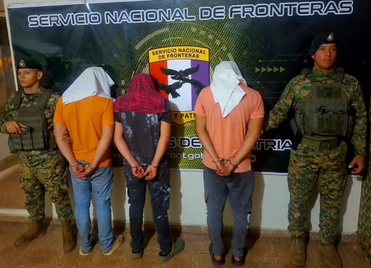 Hallan novillo amarrado en el maletero de un vehículo y aprehenden a tres personas en Chiriquí +VIDEO