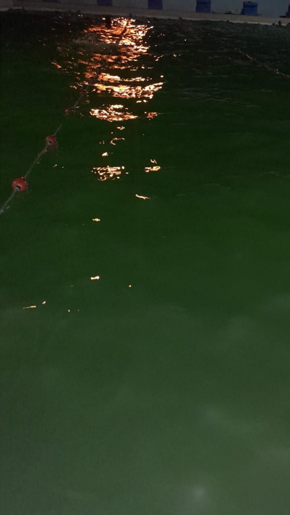 Sucio chapuzón. Niños y padres se sorprenden al ver color del agua en piscina municipal de La Chorrera