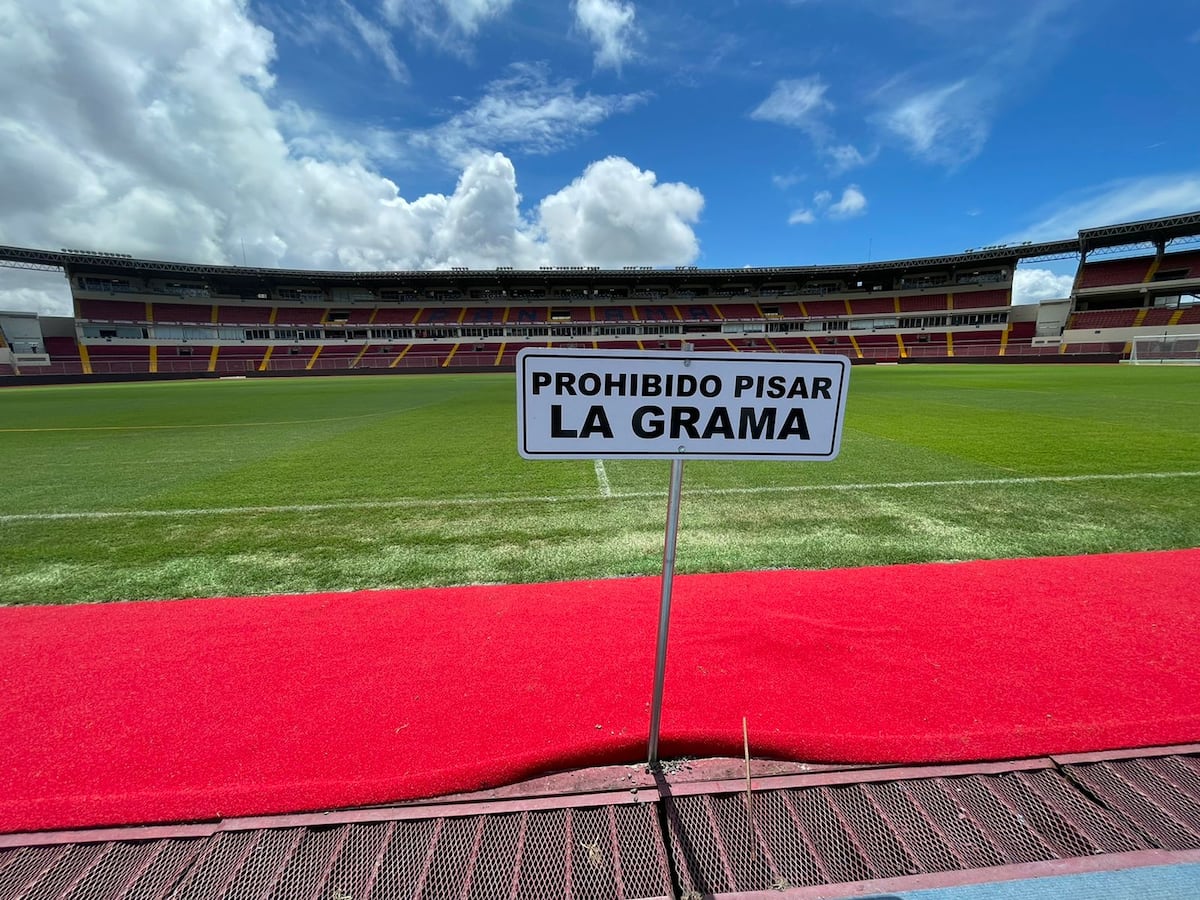 Así está la nueva cancha del Rommel Fernández. Fotos