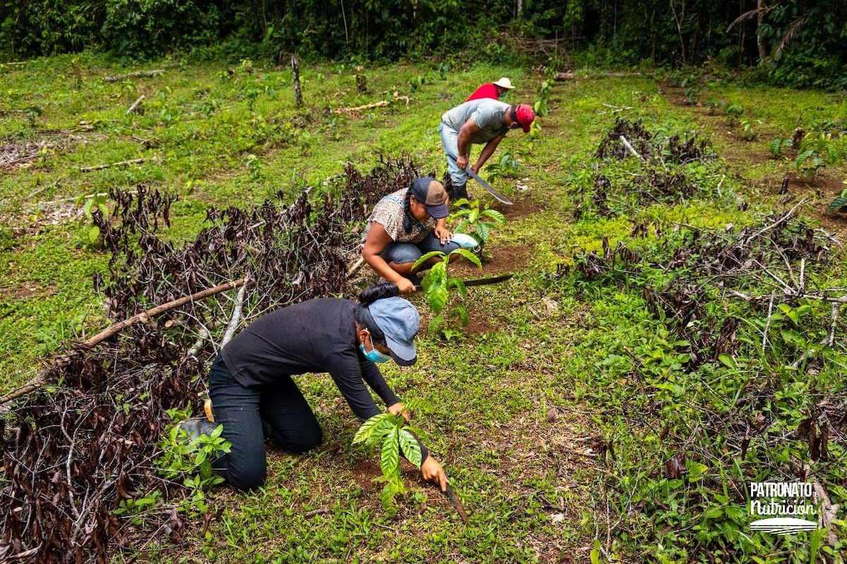 Patronato de Nutrición celebra sus 31 años de fundación con grandes pasos