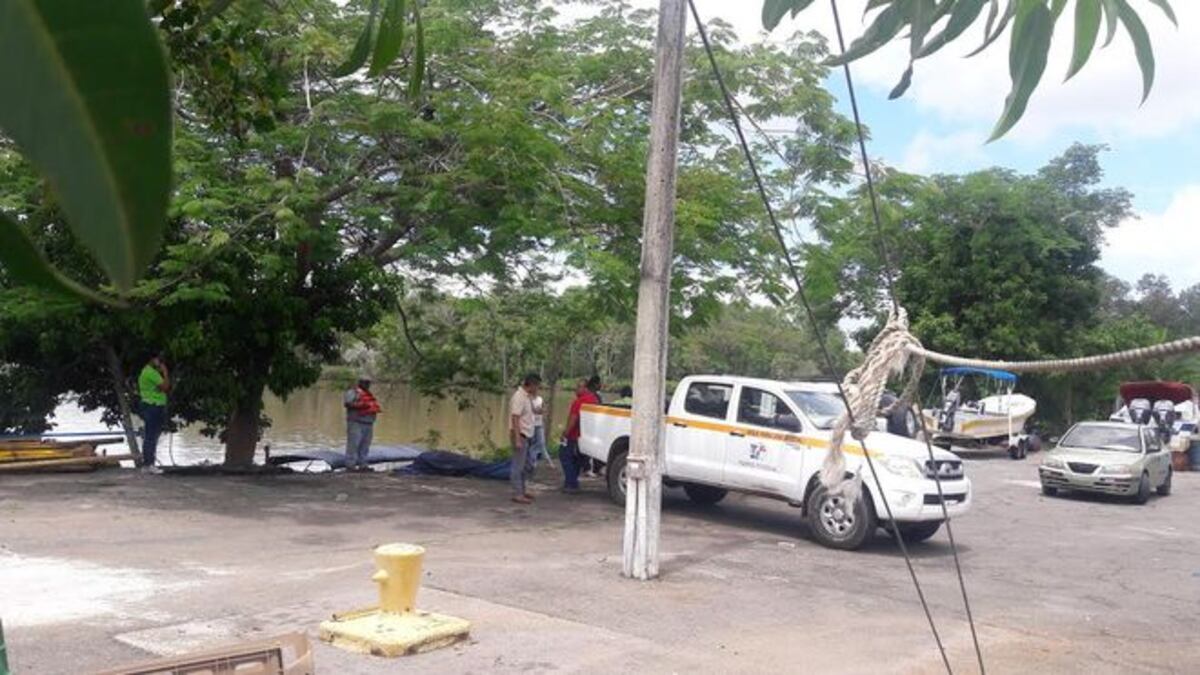 ¡LAMENTABLE! Mueren delfines que eran rescatados en río de David