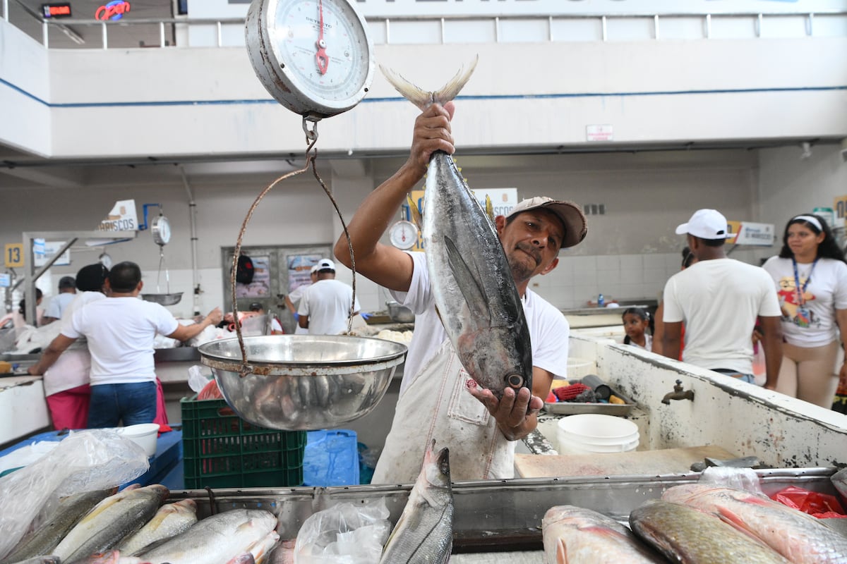Siguen subiendo los mariscos: corvina grande ya está en B/.5.00 la libra